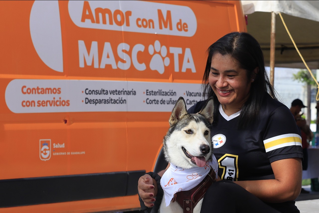 Tendrá Guadalupe nuevo reglamento para la protección de animales