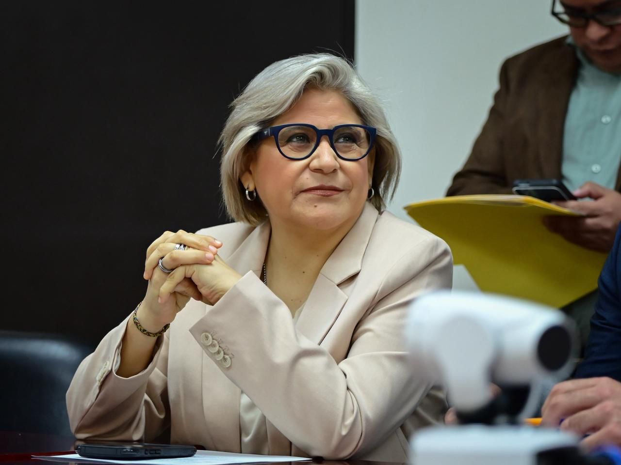 Celebra Sandra Pámanes que Consejos Ciudadanos sean paritarios