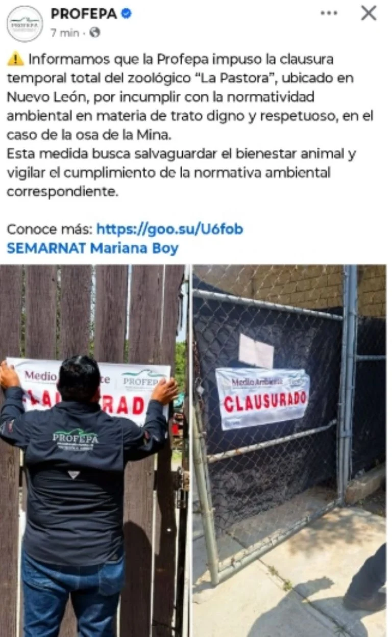 Profepa clausura temporalmente el Zoológico La Pastora tras caso de la osa Mina