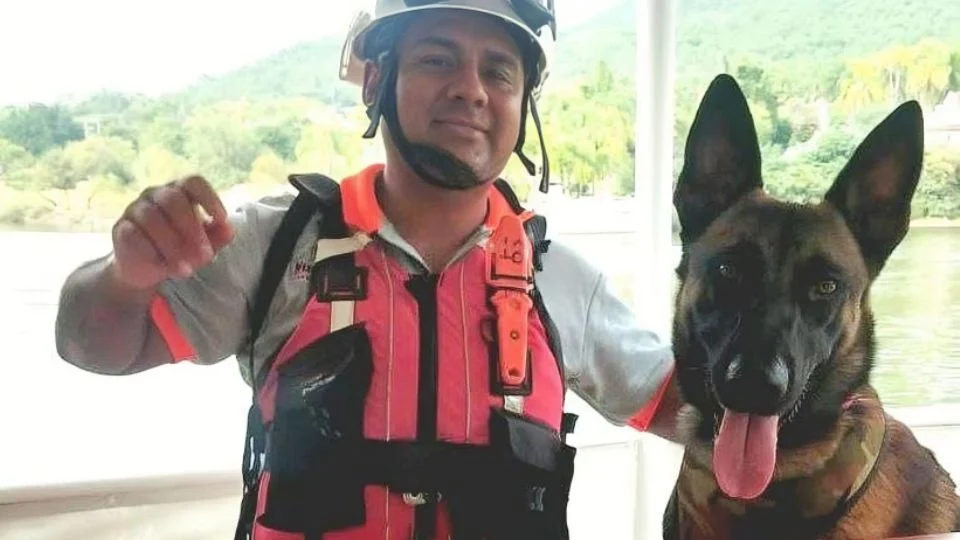 Fallece “Odin”, perro rescatista de Protección Civil de Nuevo León